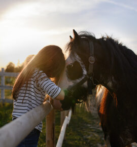 Equine-Law-270x290 (1)